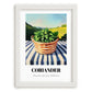 Coriander – Green Valley Landscape, Fresh Herbs Wall Decor, placed in minimal white frame
